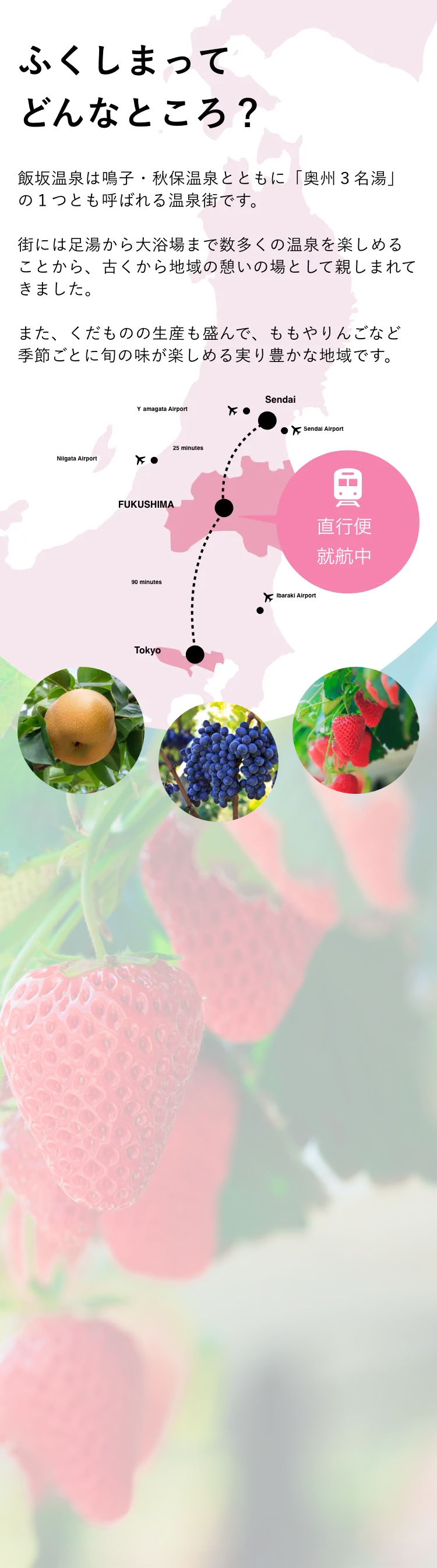 north tokyo fukushima fruits experience