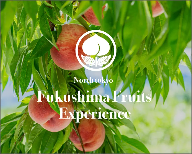 north tokyo fukushima fruits experience